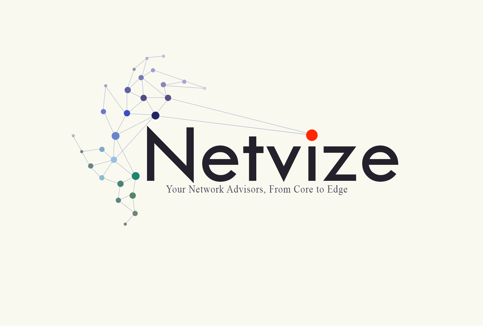 Netvize: your network advisors, from Core to Edge.